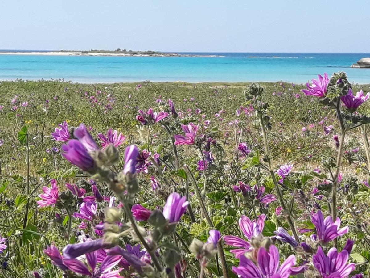 Stella Marina Villa Sant Isidoro  Eksteriør billede